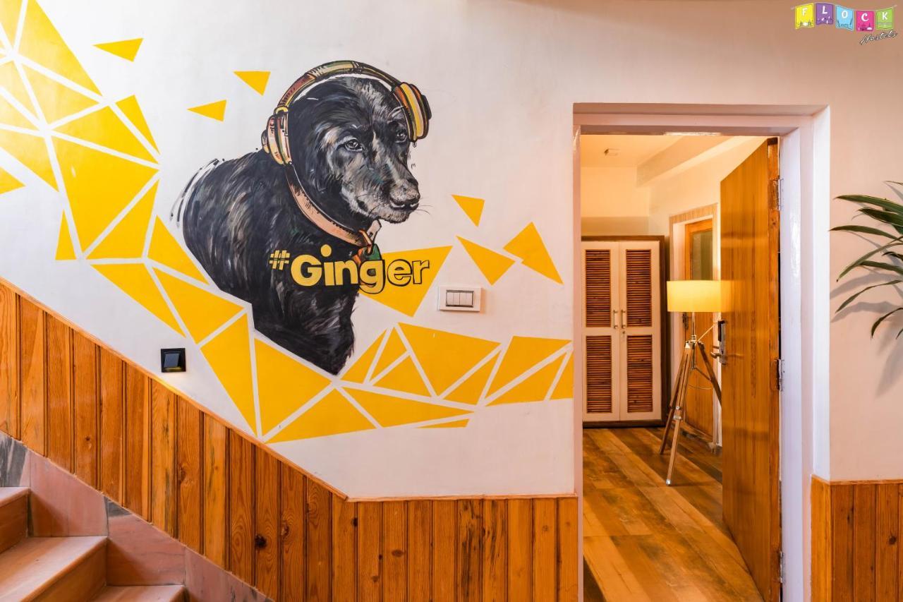 Flock Kathmandu Hostel Ngoại thất bức ảnh